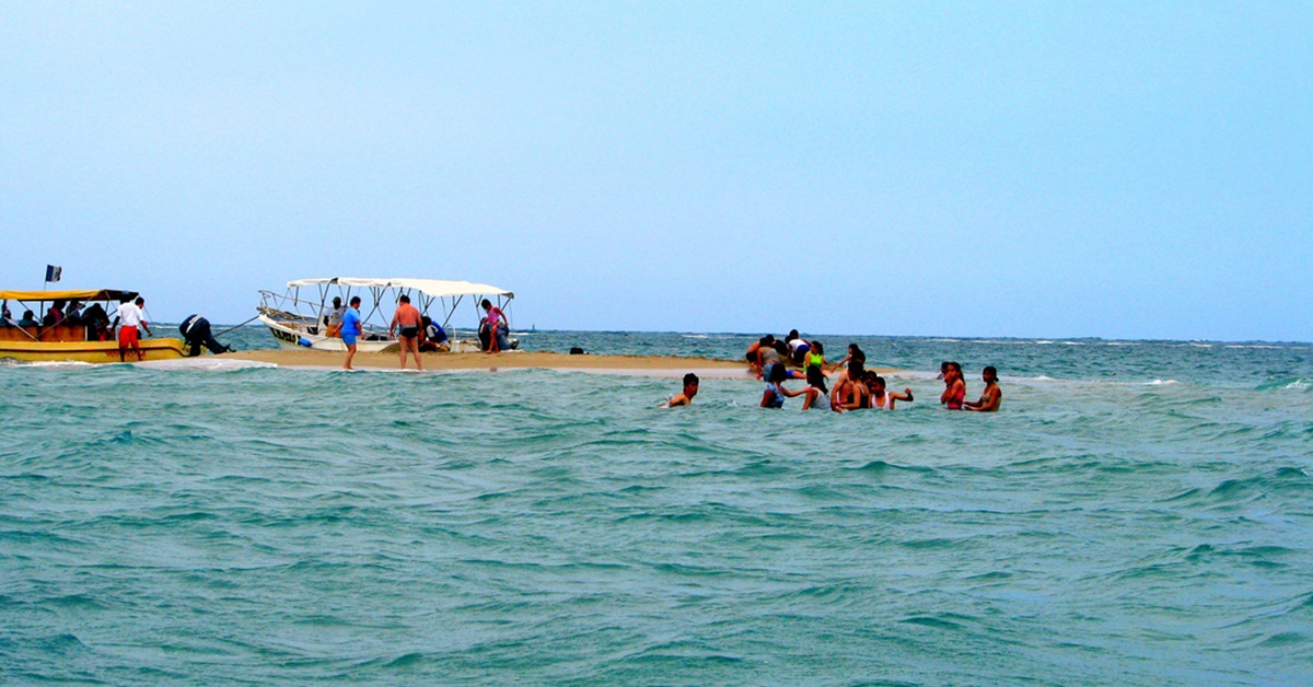 Peronas nadando en la playa Cancuncito