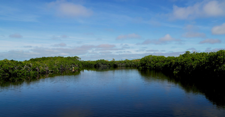 Laguna de Bacalar